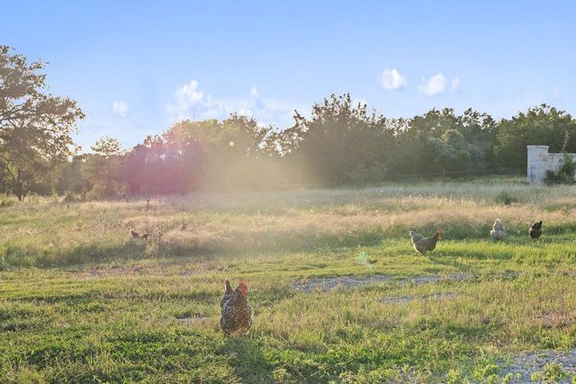 440 Flying X RD, Spicewood, TX 78669