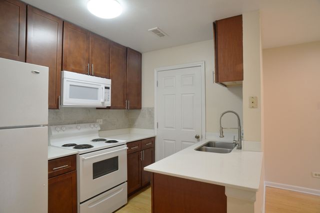 1263 Wyndham Lane 102, Palatine, IL 60074