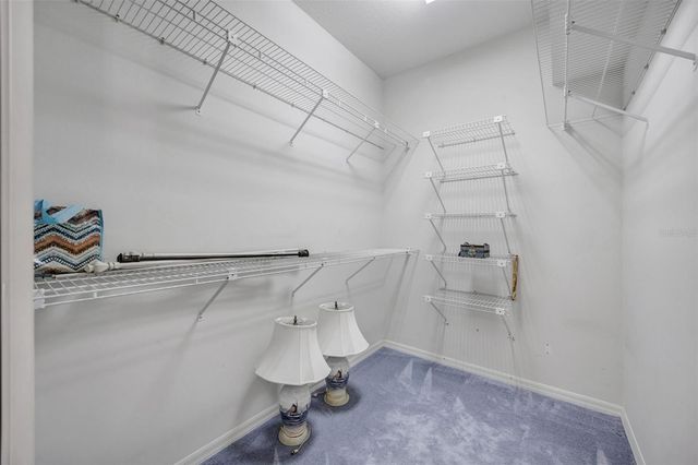 507 SURREY LANE, Lutz, FL 33549