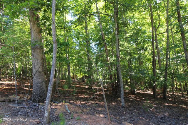 46 Arthur Ridge, Brasstown, NC 28902