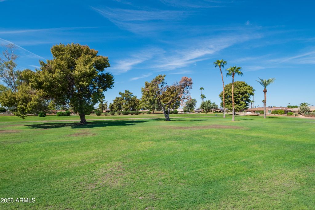 9723 W BRIARWOOD Circle, Sun City, AZ 85351 — photo 5