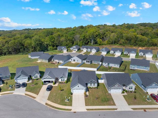 810 Rae Dr, Columbia, TN 38401