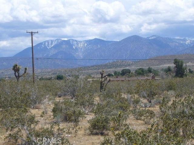 0 Vac/Pearblossom Hw/Vic Longvie, Pearblossom, CA 93553