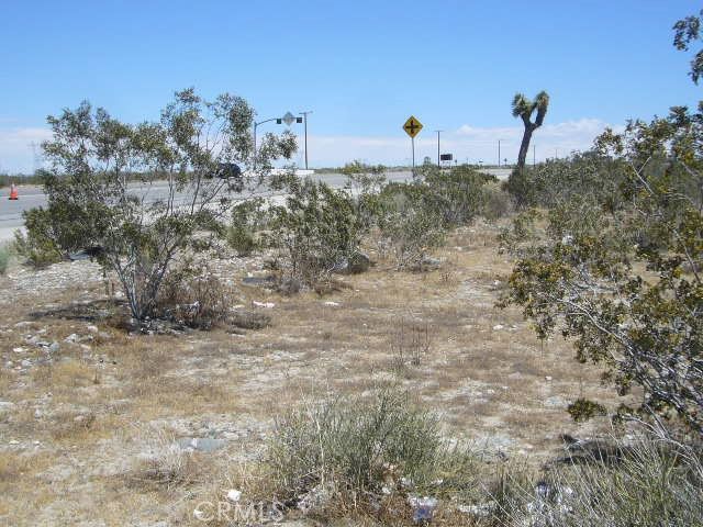 0 Vac/Pearblossom Hw/Vic Longvie, Pearblossom, CA 93553