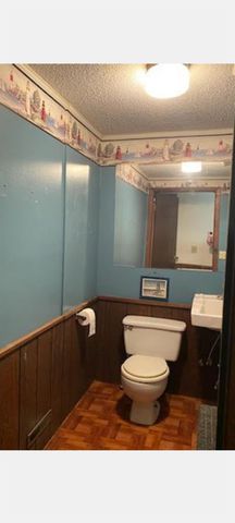 255 N Hintz Street, Owosso, MI 48867