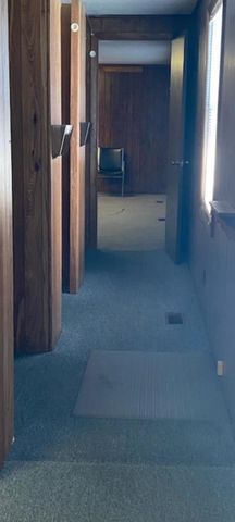 255 N Hintz Street, Owosso, MI 48867