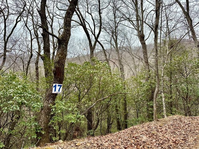 15-19 Indian Rock Springs, Murphy, NC 28906