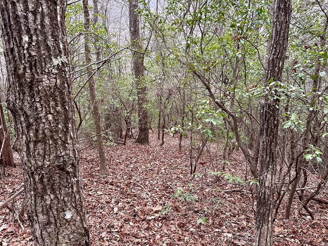 15-19 Indian Rock Springs, Murphy, NC 28906