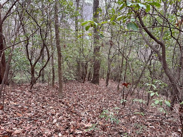 15-19 Indian Rock Springs, Murphy, NC 28906