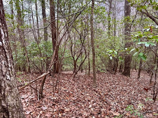 15-19 Indian Rock Springs, Murphy, NC 28906