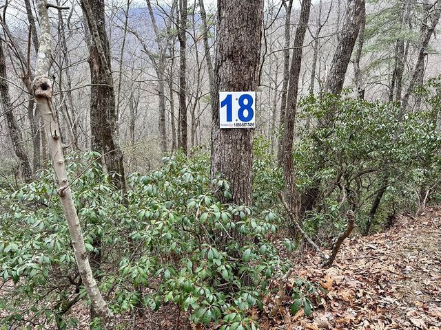 15-19 Indian Rock Springs, Murphy, NC 28906