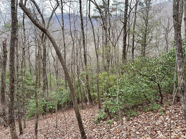 15-19 Indian Rock Springs, Murphy, NC 28906