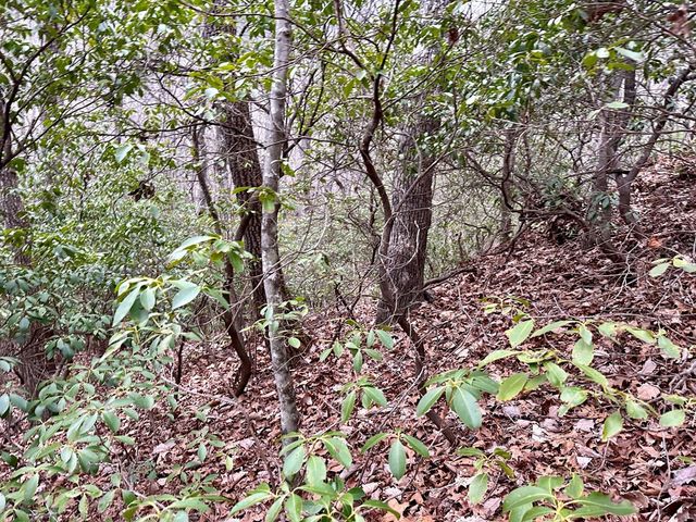 15-19 Indian Rock Springs, Murphy, NC 28906
