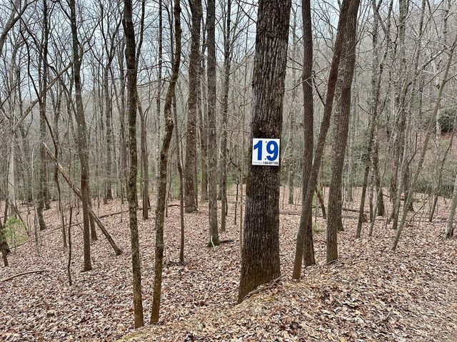 15-19 Indian Rock Springs, Murphy, NC 28906