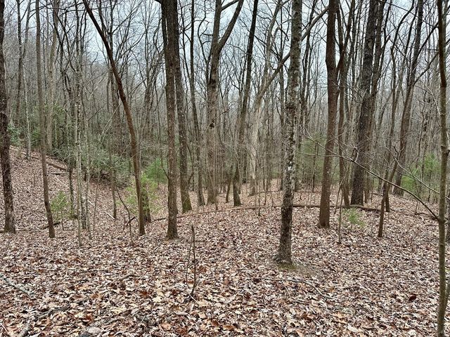 15-19 Indian Rock Springs, Murphy, NC 28906