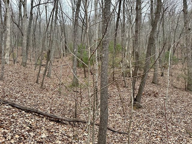 15-19 Indian Rock Springs, Murphy, NC 28906