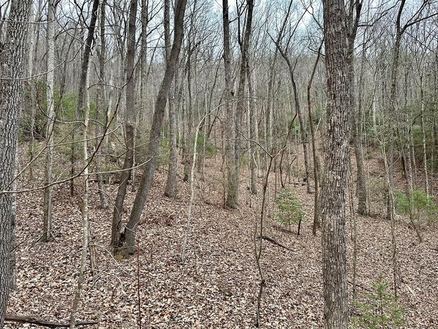 15-19 Indian Rock Springs, Murphy, NC 28906
