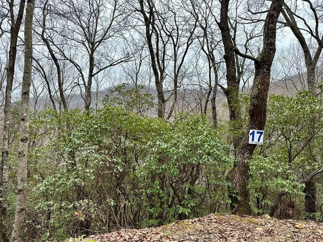 15-19 Indian Rock Springs, Murphy, NC 28906