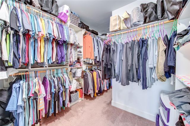 3707 Main Poplar Drive, Houston, TX 77025