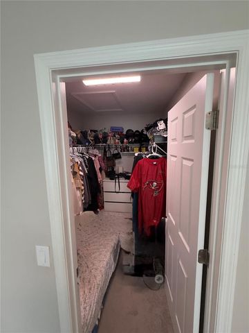 10805 WYNE TREE COURT, Orlando, FL 32824