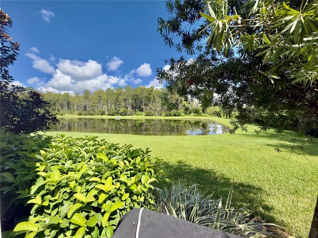 10805 WYNE TREE COURT, Orlando, FL 32824