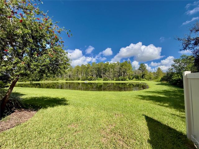 10805 WYNE TREE COURT, Orlando, FL 32824