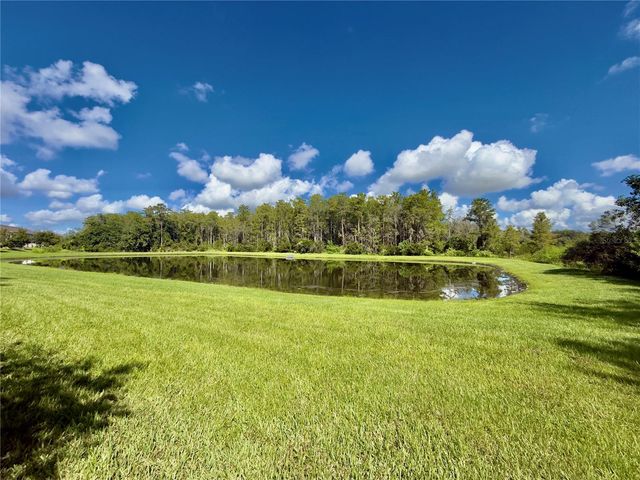 10805 WYNE TREE COURT, Orlando, FL 32824