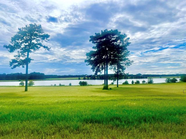 TBD E Lakeland Court Lot 26, Hillister, TX 77624