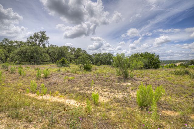 1209 Fume Blanc, New Braunfels, TX 78132