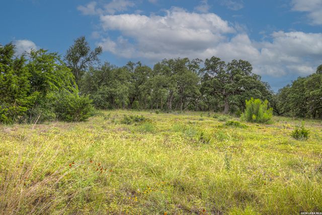 1209 Fume Blanc, New Braunfels, TX 78132