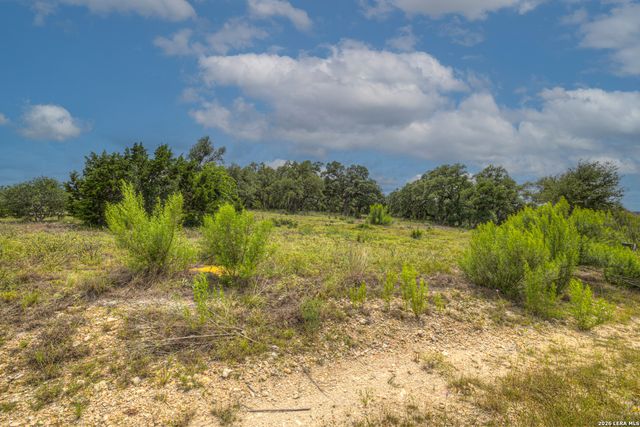 1209 Fume Blanc, New Braunfels, TX 78132