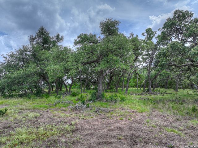 1209 Fume Blanc, New Braunfels, TX 78132