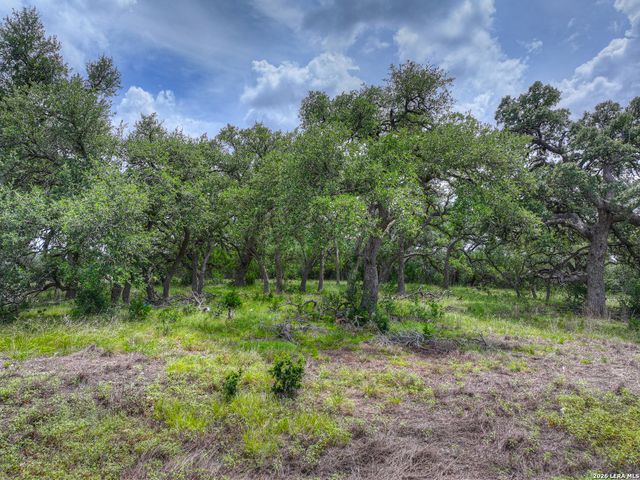 1209 Fume Blanc, New Braunfels, TX 78132