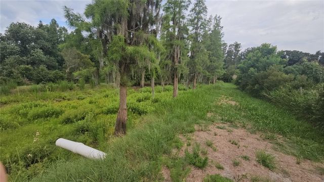 7309 QUAIL MEADOW ROAD, Plant City, FL 33565