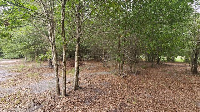 7309 QUAIL MEADOW ROAD, Plant City, FL 33565