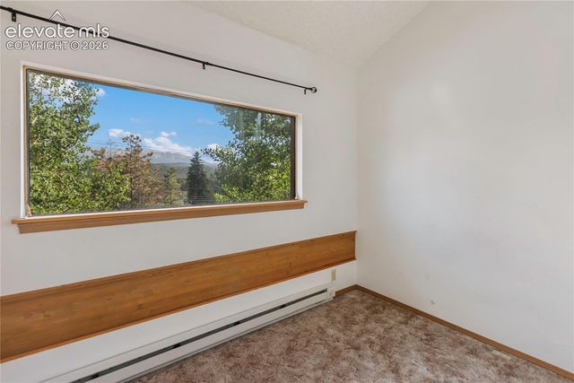 249 E Lake Avenue, Woodland Park, CO 80863