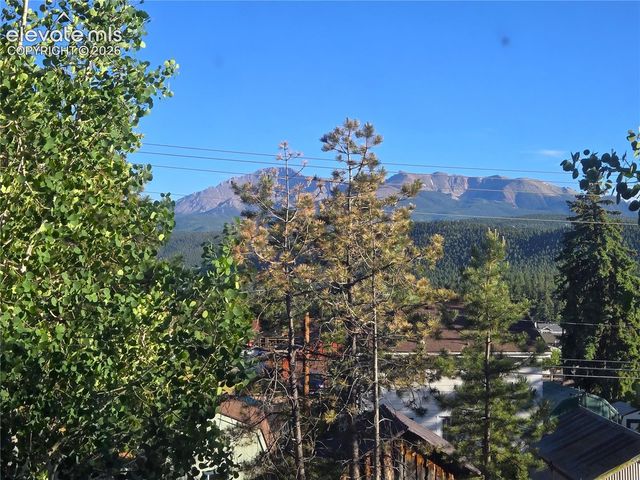 249 E Lake Avenue, Woodland Park, CO 80863