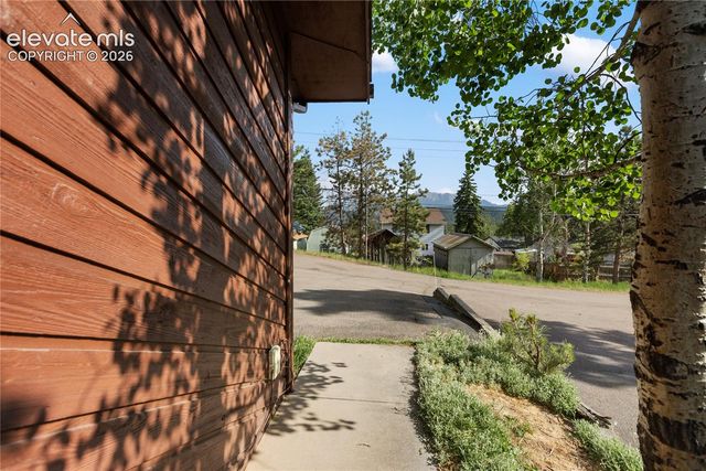 249 E Lake Avenue, Woodland Park, CO 80863