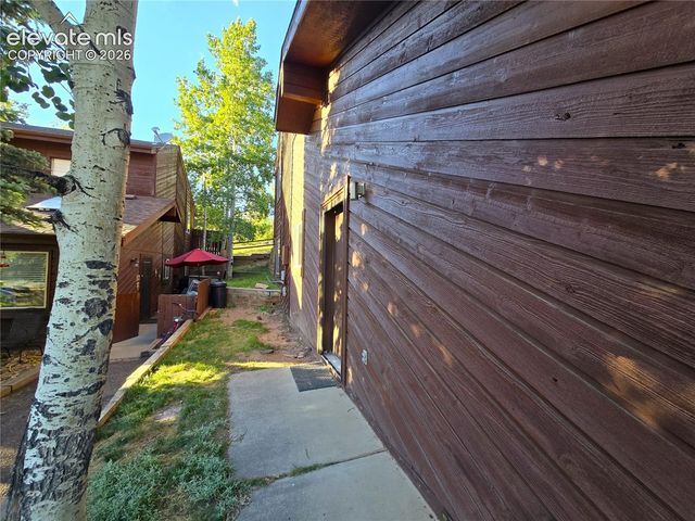 249 E Lake Avenue, Woodland Park, CO 80863
