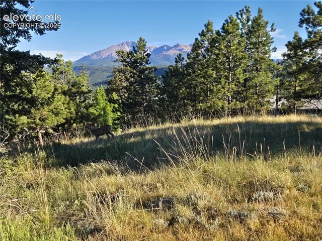 249 E Lake Avenue, Woodland Park, CO 80863