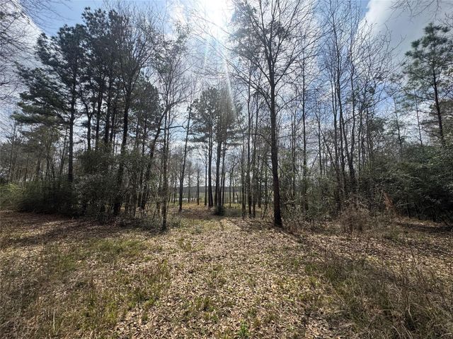 178 Stagecoach Circle, Huntsville, TX 77340