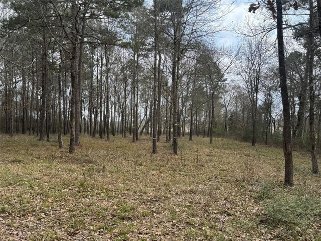 178 Stagecoach Circle, Huntsville, TX 77340