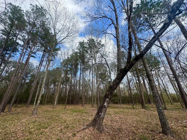 178 Stagecoach Circle, Huntsville, TX 77340