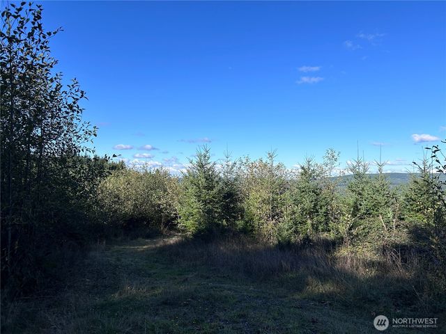0 NKA Mt Brynion Road, Kelso, WA 98626
