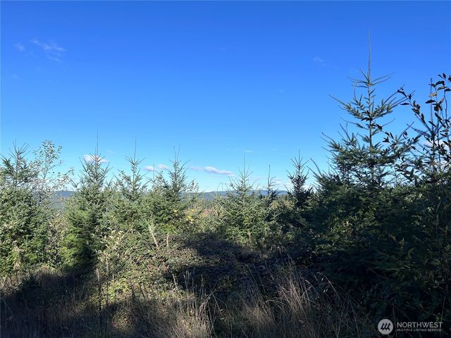 0 NKA Mt Brynion Road, Kelso, WA 98626