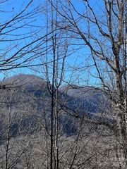 Lot 42 Hawks Nest Trail, Lake Lure, NC 28746