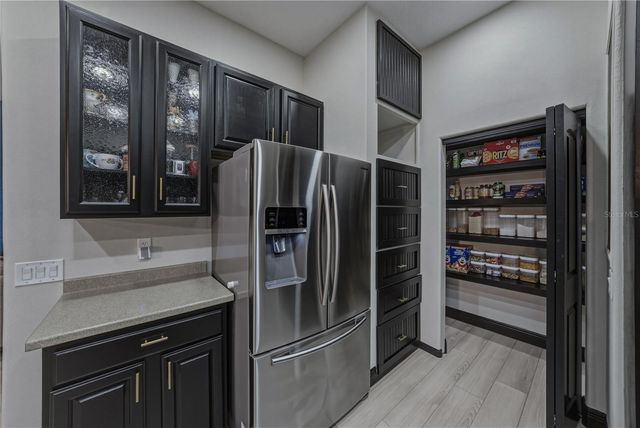 1808 TANGLEDVINE DRIVE, Wesley Chapel, FL 33543