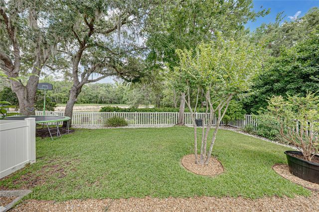 1808 TANGLEDVINE DRIVE, Wesley Chapel, FL 33543