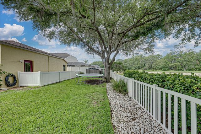1808 TANGLEDVINE DRIVE, Wesley Chapel, FL 33543