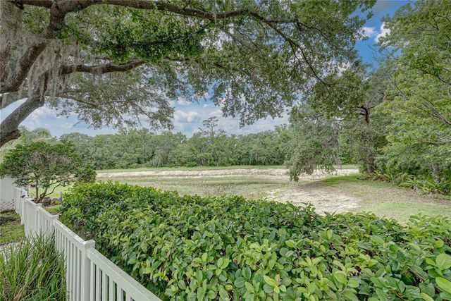 1808 TANGLEDVINE DRIVE, Wesley Chapel, FL 33543